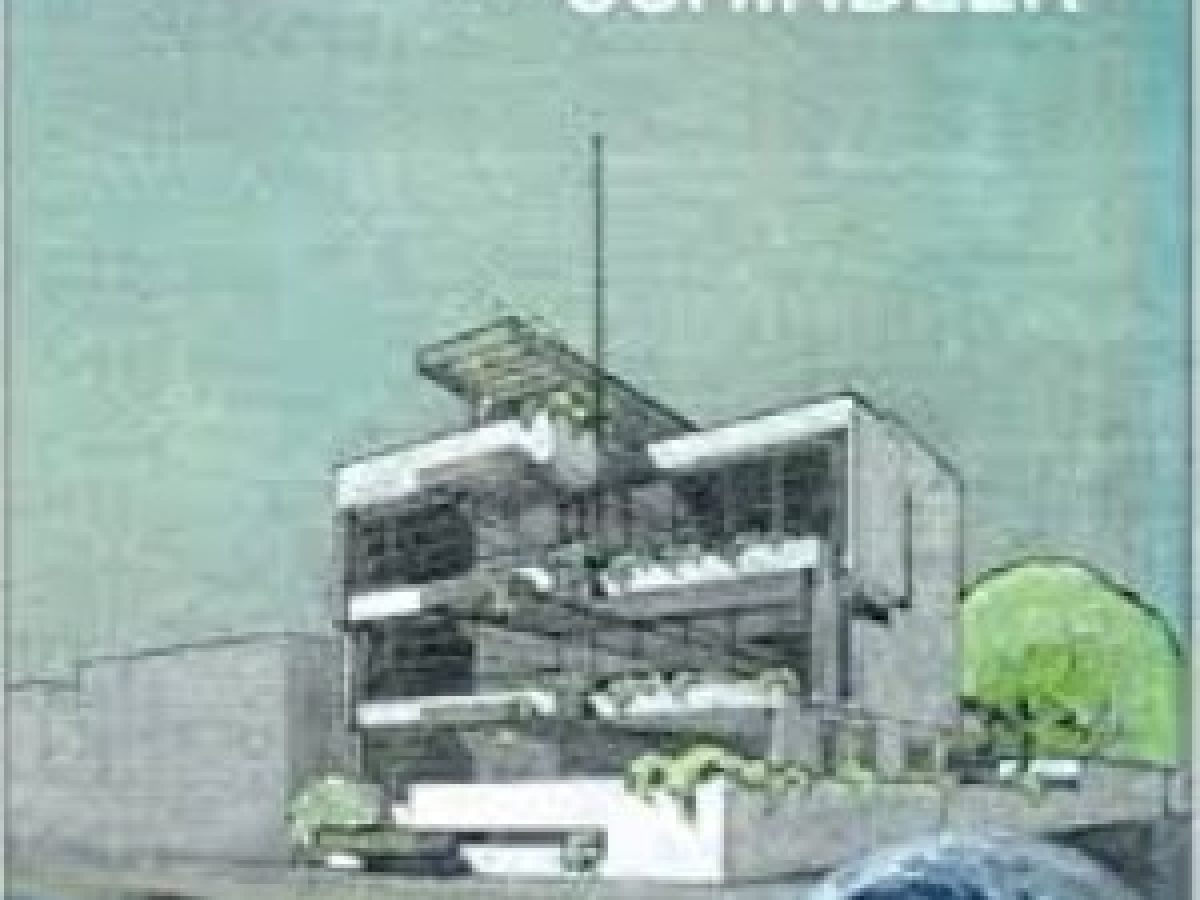 The Architecture of R.M. Schindler - Turn of the Century